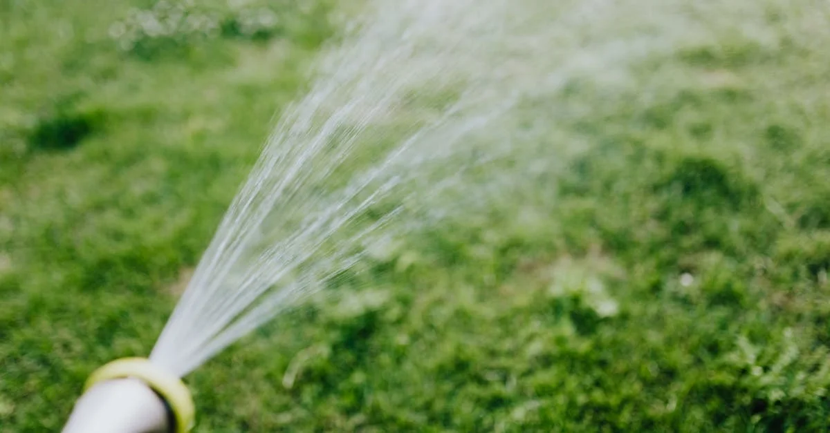 Rinsing synthetic turf with a garden hose for routine weekly cleaning