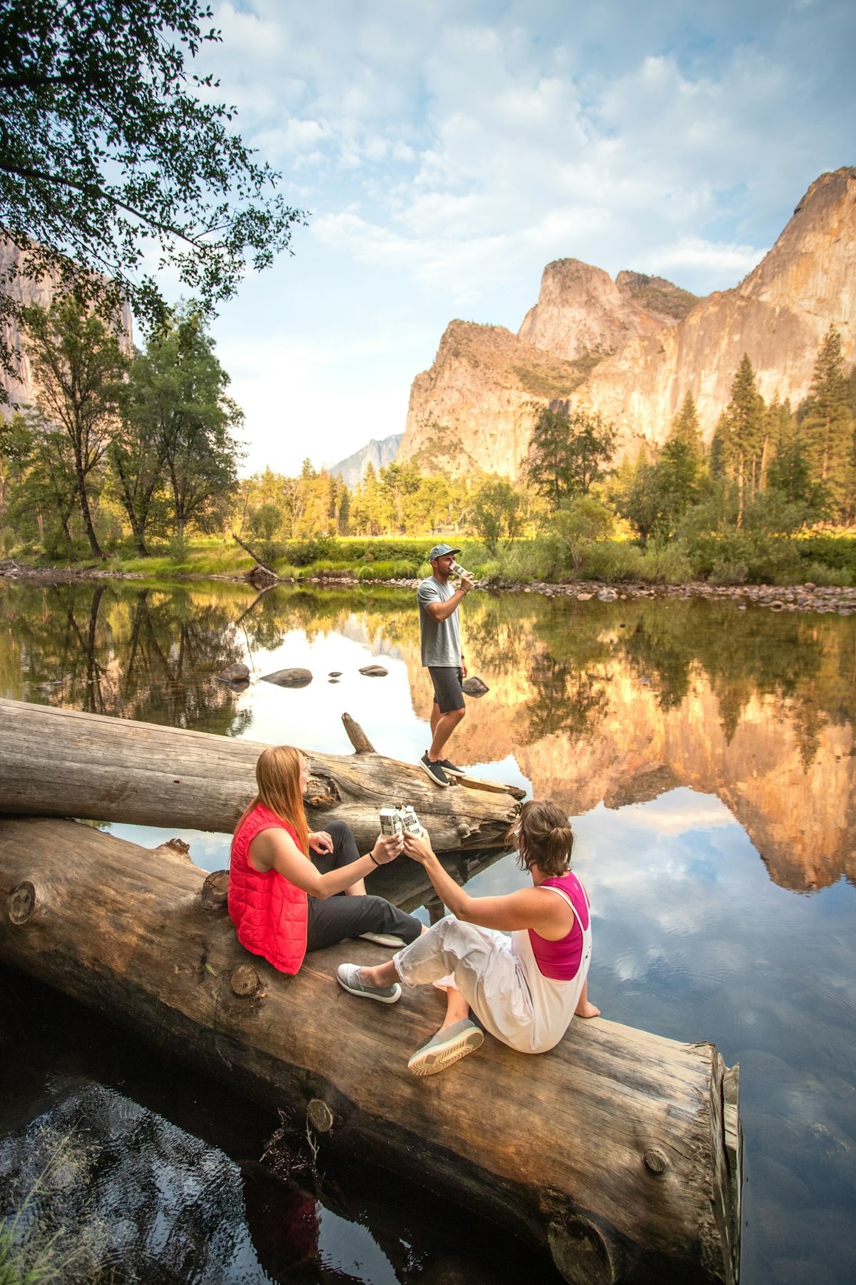 Lush green synthetic turf installed in a residential backyard